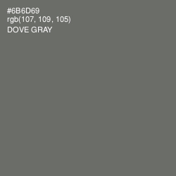 #6B6D69 - Dove Gray Color Image